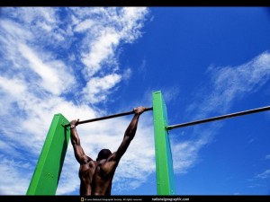 venice-beach-gym