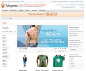 Magento Ecommerce Shopping Solutions