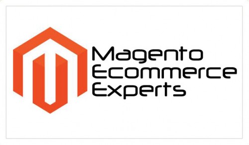 Magento Developer