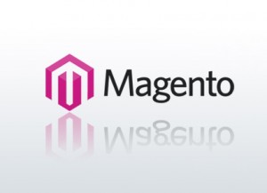 Los Angeles Magento Developers